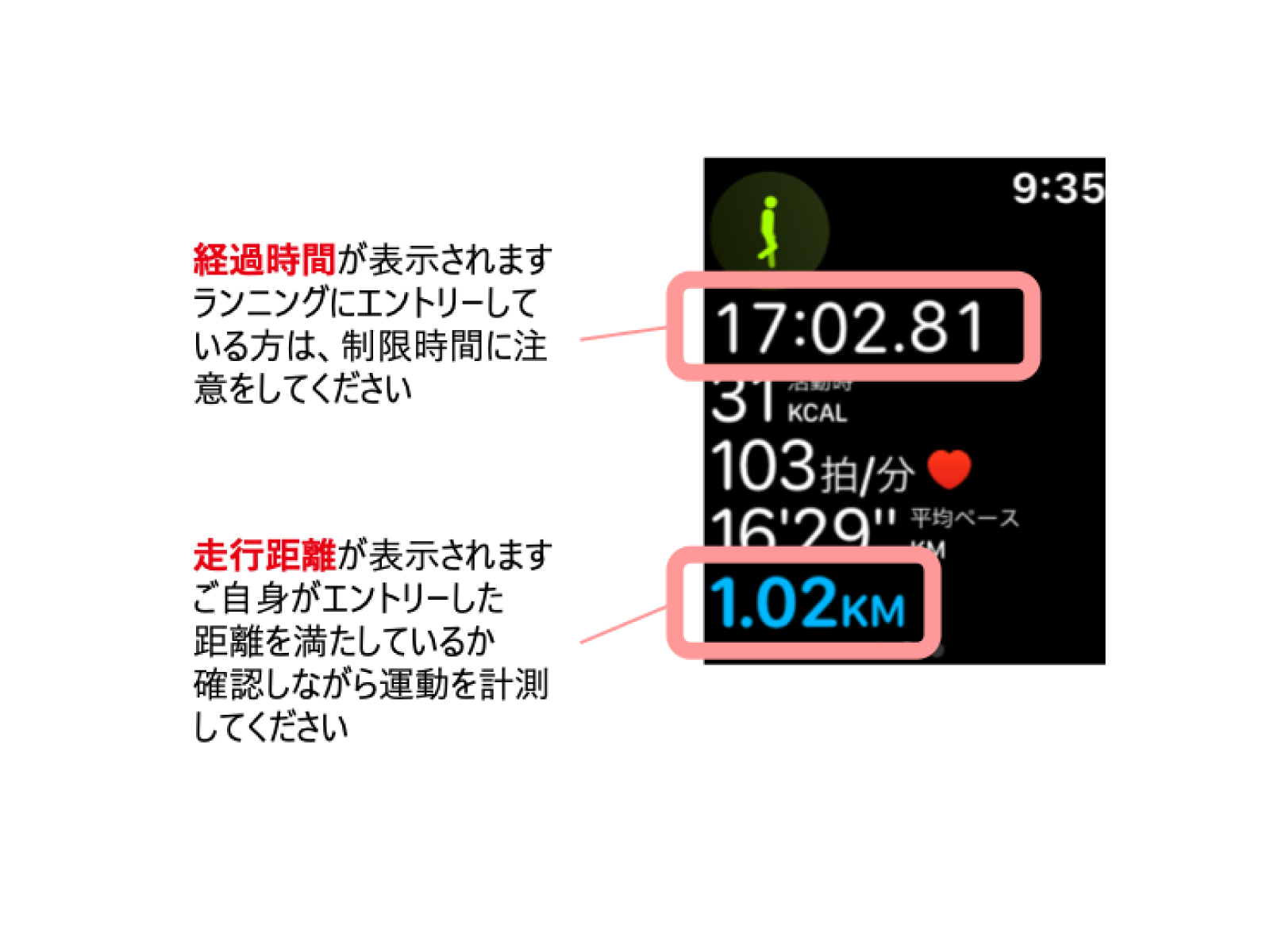apple10.png